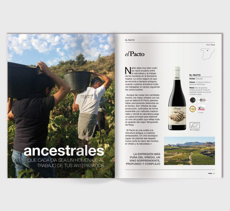 catalogo vintae